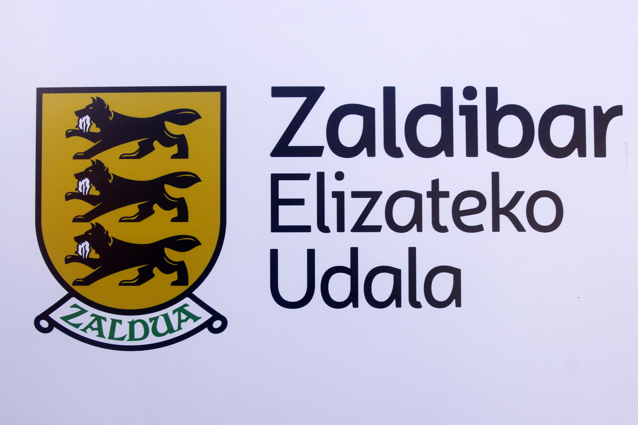 Escudo Zaldibar IBAN2